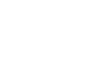 Expedition Vehicle Outfitters